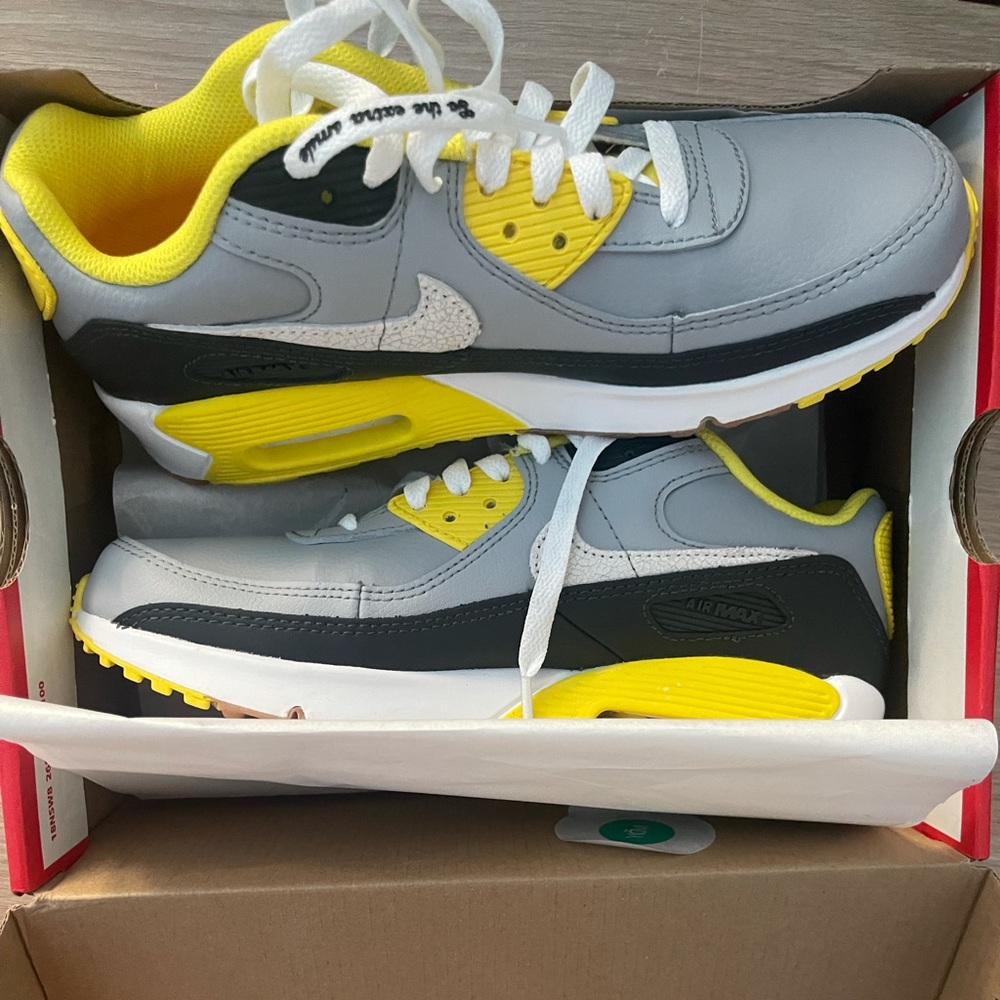 Nike Air Max 90 ltr
